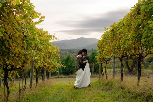 Valley Road Vineyards - 1