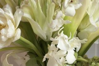 Flowers of Charlotte - 5