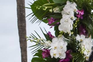 Bahama Beach Club - 12