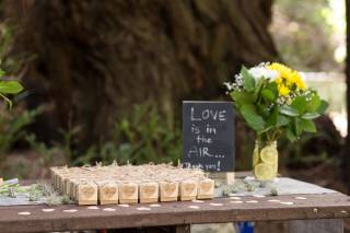 Drew Bird Photography - 10