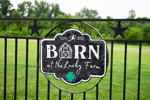 Barn at the Lucky Farm - 1