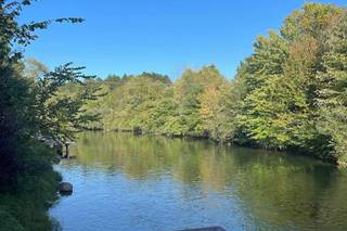 Whetstone Center - 27