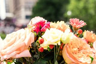 Hedonia Flowers - 5