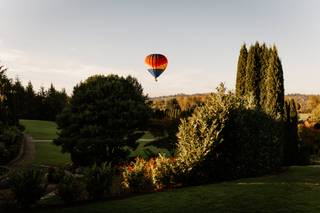 Like a Dream Weddings and Events - 13