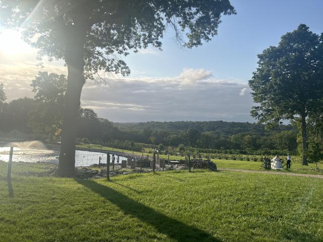 Nuzzo's Farm - 1
