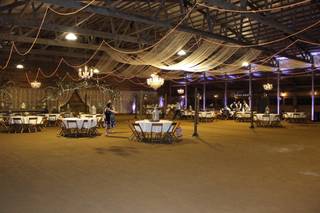 Dynamic Entertainment & Lighting Productions, LLC - 8