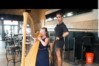 Harp Elegance: Joanna Whitsett, harpist - 10