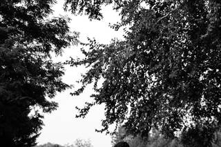 Samantha Leto Photography - 6