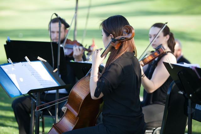 Suite Strings - 1