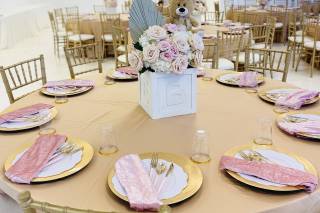 CV Linens - 55