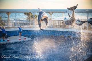 Beach Bum Photography - 31