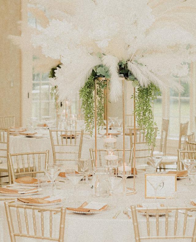 Camillion Event Rentals - 2