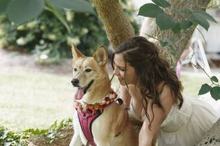 KC's Pet and Farm Sitting LLC - 4