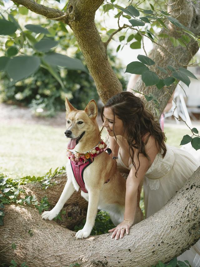 KC's Pet and Farm Sitting LLC - 2