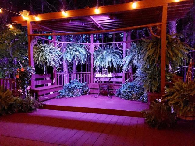Small Wedding Experts - 3