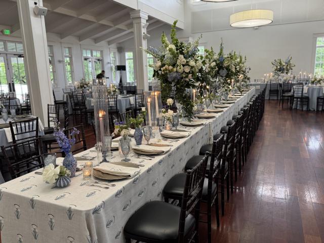 Our Curated Design - 4