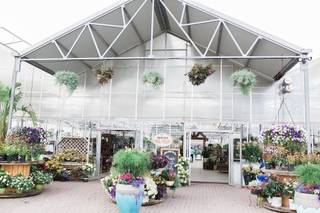 Buchwalter Greenhouse - 40