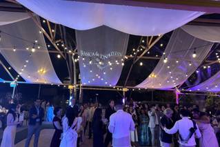 Elegant Event Entertainment - 5