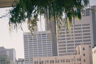 Going Steady Studios - 5