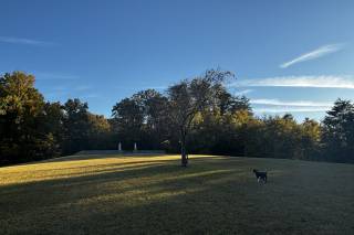 Holston Springs - 24