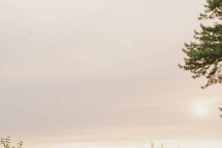 Jamie Tobin Photography - 7