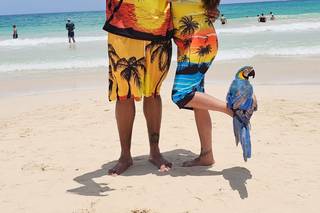 1 Life to Live Travels. LLC - 10