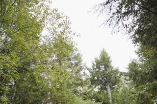 Andy Gagne Photography - 8