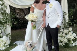 I Dog Too - Wedding Pet Attendant - 8