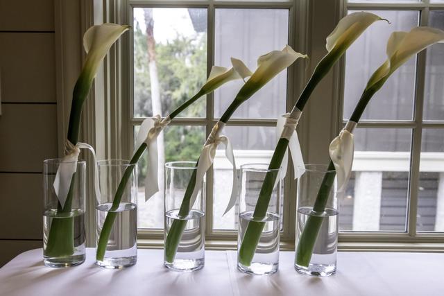 Anything With Plants & Flowers - 4