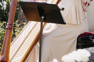 Beverly Arnold, Harpist - 12