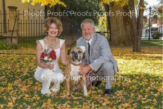 Daniel Quat Photography - 13
