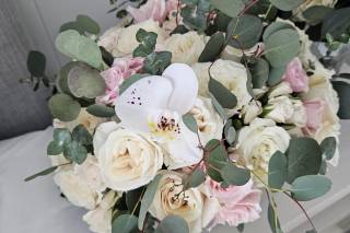 Chiara Flowers - 96