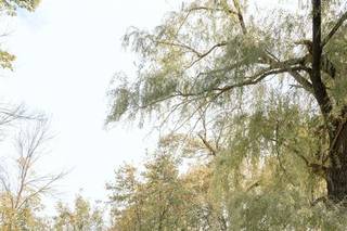 Abella Weddings + Events Farm - 15