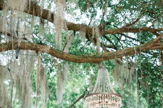 Hewitt Oaks - 8