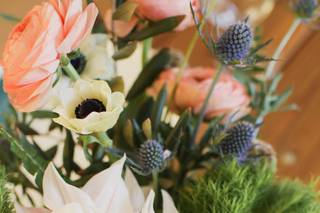 Earthbaby Flowers - 8