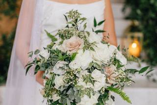 Hedge Fine Blooms - 5