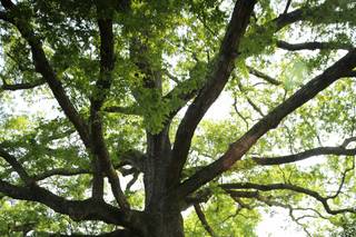 Amanda Maglione Photography - 6