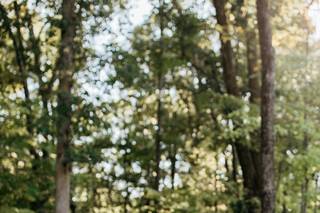 Alicia Martire Photography - 11