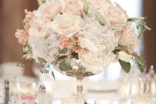 Highbury Hill Events - 5