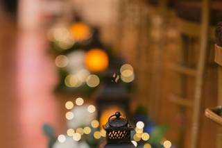 Tom Forrest Photography - 15