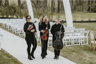 Pizzicatomus String Quartet - 6
