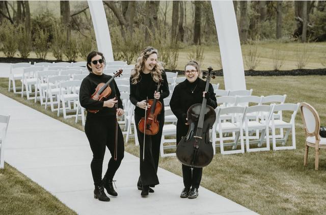 Pizzicatomus String Quartet - 3