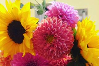 Butterbee Farm - 19