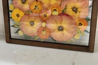 White Poppy Preservation - 43