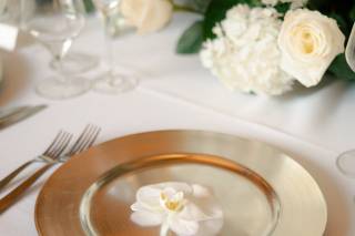 William Paul Design - 6