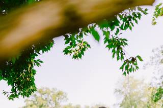 Katherine Elizabeth Photography - 13