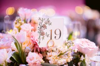 Sparkle Photography - 12