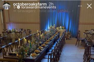 Lora Wardman Events - 6