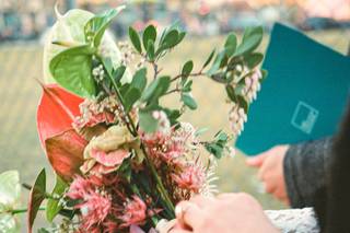 Gina Clyne Photography - 6