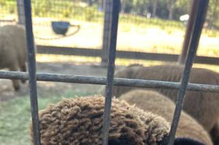 River Bottom Ranch - 25